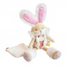 Lapin sucre rose Pantin