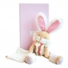 Lapin sucre rose Pantin