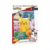 Puzzle 250 Pièces - Famille Pokémon