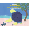 Vava la Tortue sur la Route de St Leu
