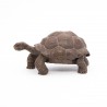 Figurine Tortue des Galapagos