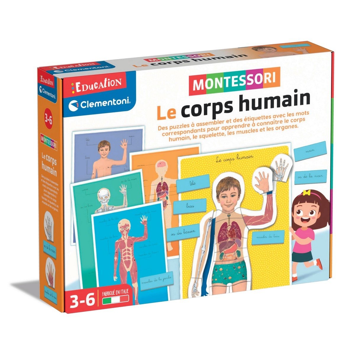 Puzzle en bois Corps humain Organes internes Montessori