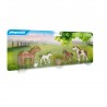 Poneys et Poulains Playmobil Country 70682