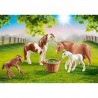 Poneys et Poulains Playmobil Country 70682
