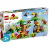Animaux Sauvages d'Amérique du Sud Lego Duplo 10973