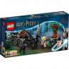 Le Magyar à Pointes Lego Harry Potter 76406