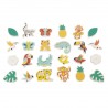 Tropik Magnets Tropicaux