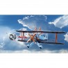 Air Stuntshow biplan Phénix