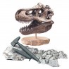 Archéo Ludic Crâne de T-Rex