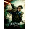 Puzzle 100 Pièces XXL - Le Monde Fantastique d'Harry Potter