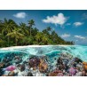 Puzzle 2000 Pièces - Une Plongée aux Maldives