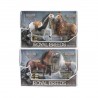 Coffret 2 chevaux Royal breeds Beauties