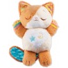 Vtech Baby - Mon Chaton Douce Nuit Pour Bébé