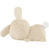 Fisher Price - Mon Lapin Super Dodo