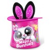 Magic Bunny Surprise