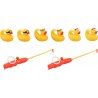 Pêche aux canards