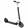 Trottinette 2 Roues Citadine SWITCH 2