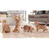 Jekca Jouet De Construction Bengal 4 En 1 Brun