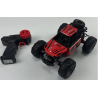 Buggy Rally Radiocommandé