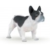 Bouledogue Français Noir et Blanc