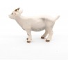Chevreau