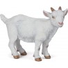 Chevreau