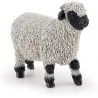 Mouton au Nez Noir du Valais