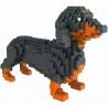 Jekca Mini Teckel Noir et Feu