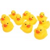 Canards de Bain