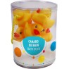 Canards de Bain