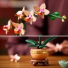 L’orchidée Miniature LEGO Botanicals 10343