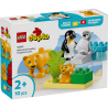 Familles d’Animaux Sauvages : Pingouins et Lions LEGO DUPLO Ma ville 10442