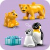 Familles d’Animaux Sauvages : Pingouins et Lions LEGO DUPLO Ma ville 10442