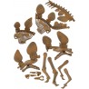 Coffret Archéo Ludic - Stégosaure