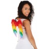Ailes d'Ange en Plumes Multicolores